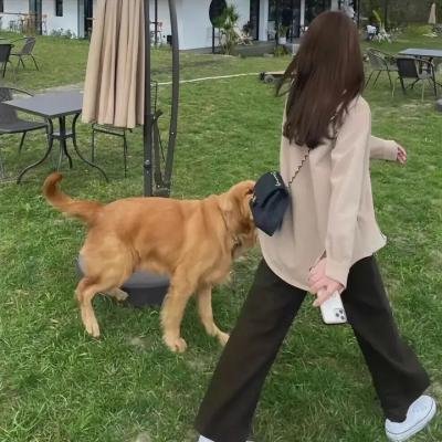 宝可梦:超梦的逆袭