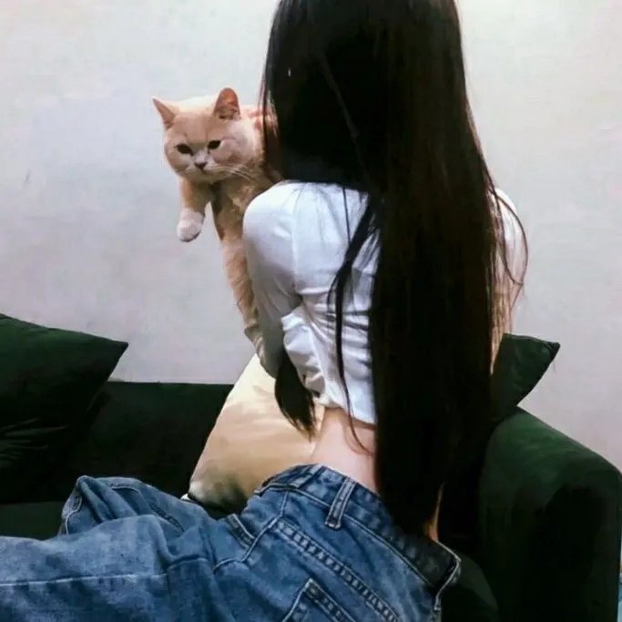 狐妖小红娘月红篇